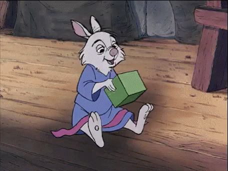 A rabbit lost a coin